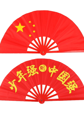 少年强中国强太极功夫响扇