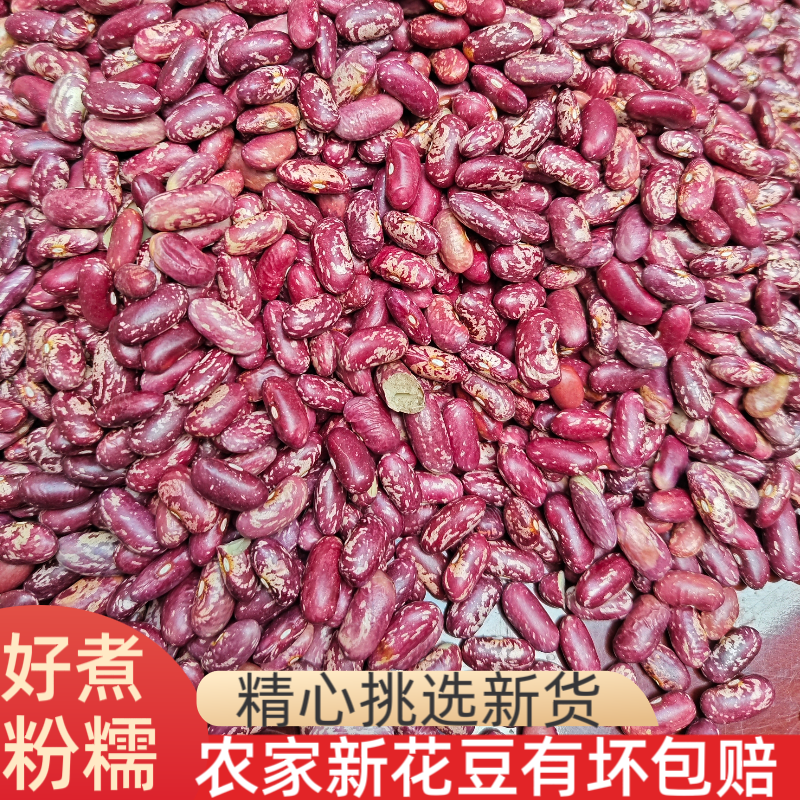 贵州本地特产红芸豆花豆干四季豆