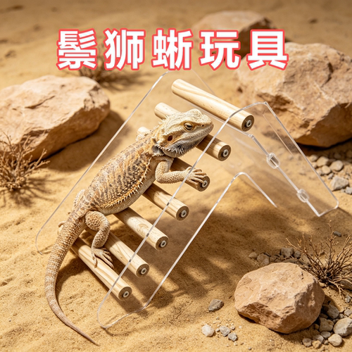 鬃狮蜥专用攀爬玩具啃咬实木云梯透明亚克力饲养箱造景装饰丰荣