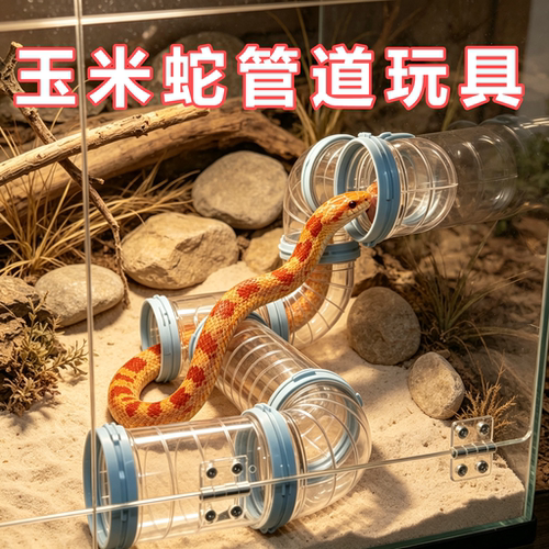 玉米蛇专用管道套装金丝熊DIY外接浴室迷宫隧道小宠玩具造景装饰