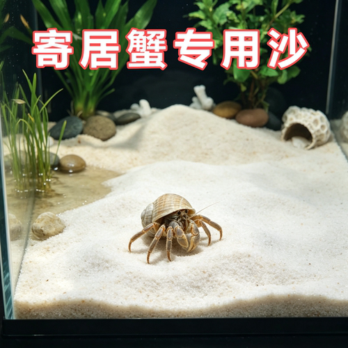 寄居蟹专用沙鱼缸底砂造景沙子溪流石头南美缸鼠沙乌龟冬眠水晶沙