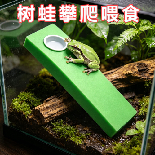 角树蛙专用爬宠喂食攀爬棒睫角蜥蜴壁虎变色龙喂食棍休息台缸造景
