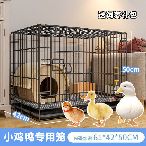 宠物小鸭子笼养鸡专用的室