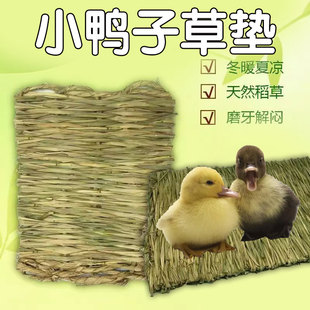 宠物鸭子母鸡下蛋草窝斑鸠芦丁鸡蒲草窝柯尔鸭窝鞋干草降温宠物鸭