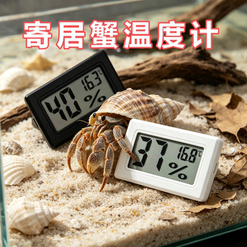 寄居蟹专用嵌入式温湿度计爬宠数显温湿表数显饲养箱造景装饰守宫