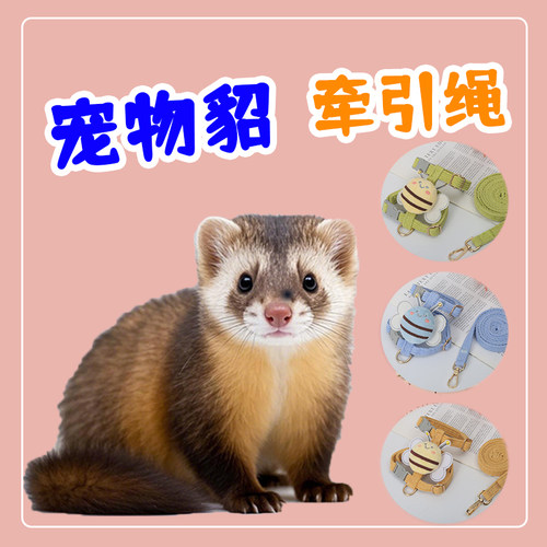 宠物貂牵引绳专用外出子遛