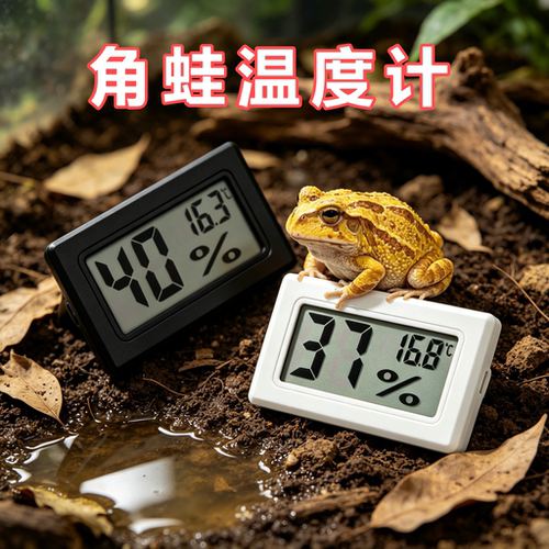 角蛙专用嵌入式温湿度计爬宠数显温湿表数显饲养箱造景装饰守宫