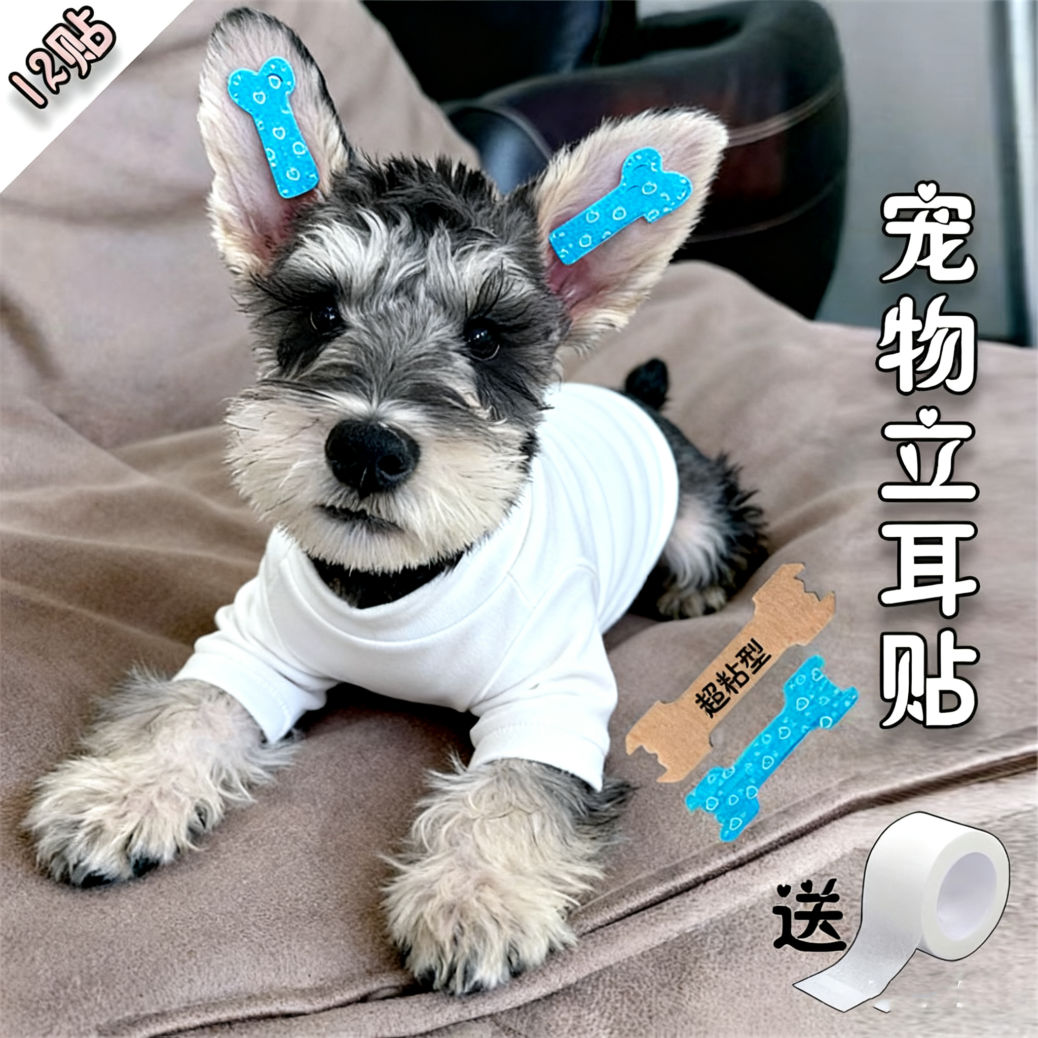 雪纳瑞立耳神器狗贴小德牧