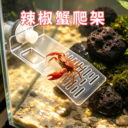 辣椒蟹专用晒台爬坡晒爬台浮台浮岛爬梯水族箱造景装饰晒背台爬架