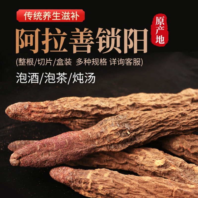 阿拉善金锁阳整根荒漠野生中药材