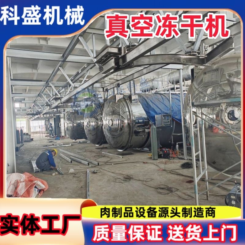 铁棍山药冰糖山药冻干机 黑鸡枞根干燥机 糖果真空冷冻干燥机