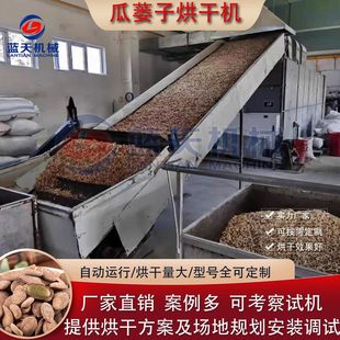 瓜蒌子烘干机 连续式瓜蒌仁吊瓜籽白瓜子南瓜籽葫芦籽烘干生产线