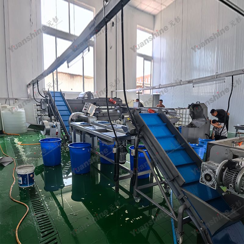厂家热销预制菜加工设备 全自动鱼片清洗机 鲜鱼肉去血水机