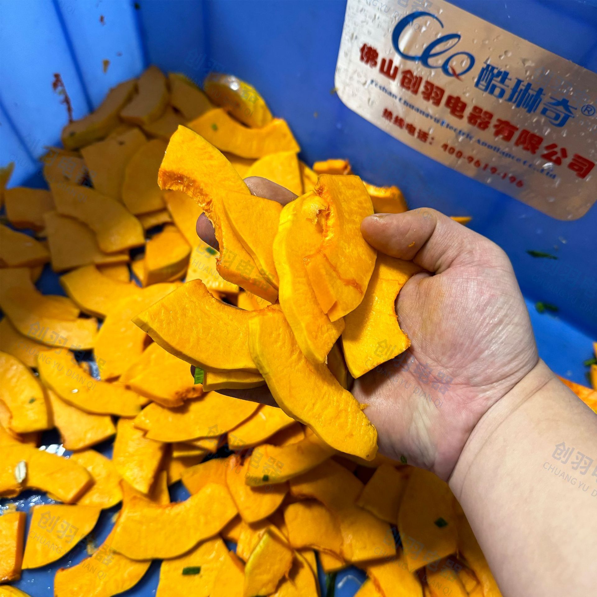 台湾806大型南瓜切片机多功能双变频加宽165MM大白菜整块切块机