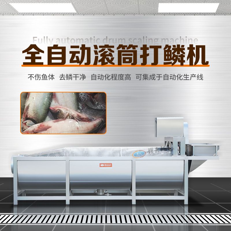 全自动滚筒打鳞机不伤鱼体去鳞干净自动化程度高可集成于自动化生