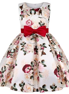 Party dress for children kids girls clothes Princess Dress女