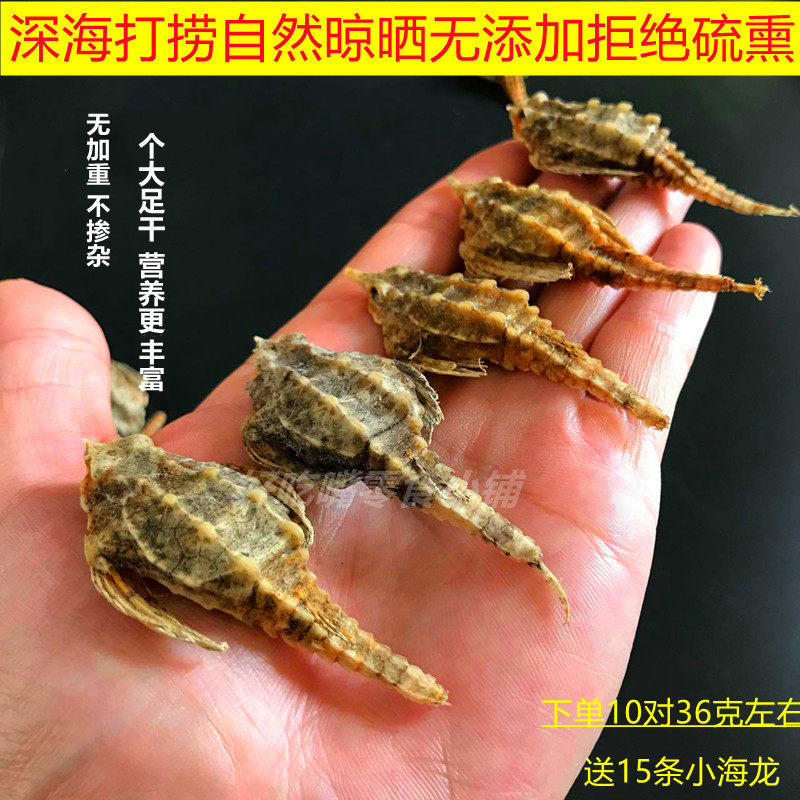 自晒野生海燕子海麻雀干男性补品益配海龙干煲汤泡酒材料干货50g