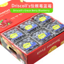 s怡颗莓蓝莓鲜果6 12盒云南新鲜水果当季 Driscoll 礼盒装 限量大果