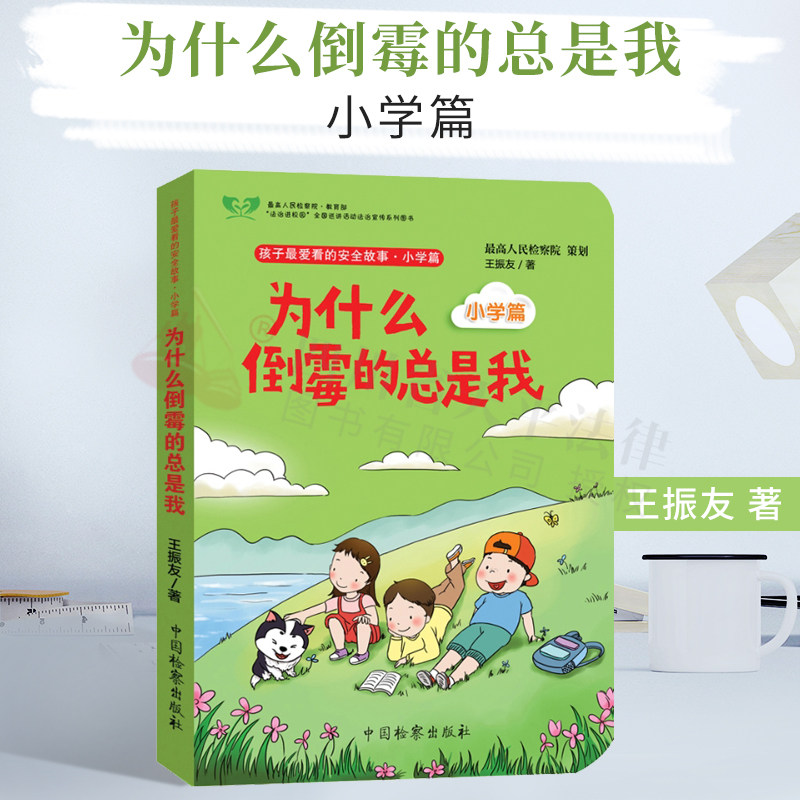 2021新书 为什么倒霉的总是我 小学篇 王振友著 孩子爱看的法律故事