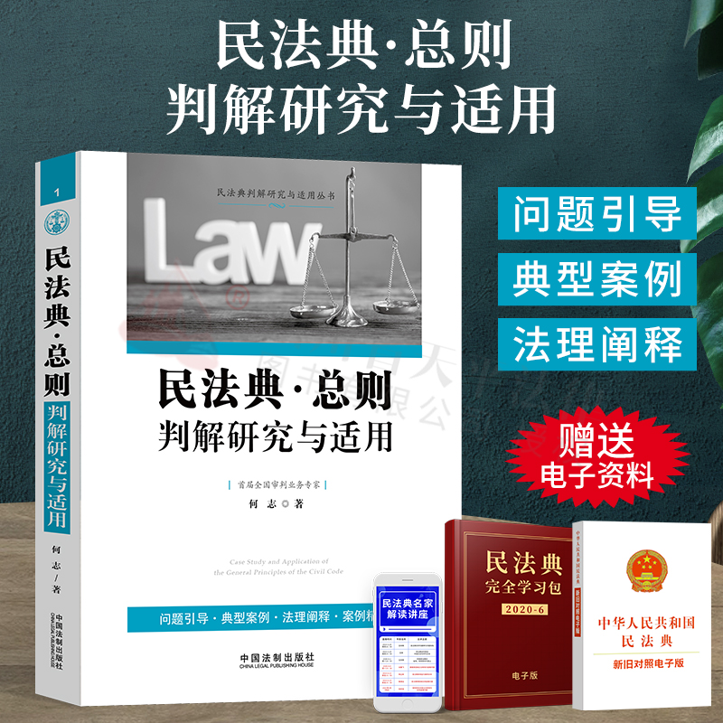 2020新书民法典总则判解研究与适用民法典判解研究与适用丛书民法典总则篇问题引导典型案例法理阐释以案释法案例精析法律书籍全套