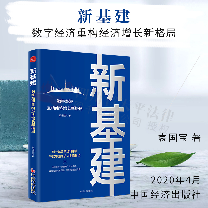 正版 新基建:数字经济重构经济增长新格局 袁国宝著 一本书读懂“新基建”背后的国家战略与行动路径 5G基建新能源人工智能