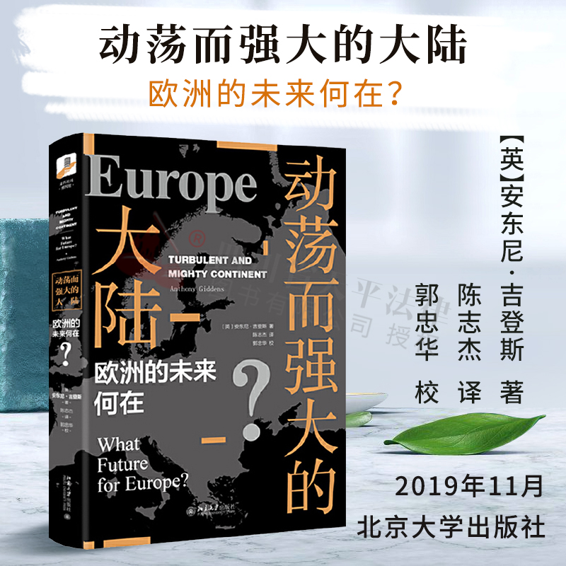 2019新书 动荡而强大的大陆欧洲的未来何在 了解欧盟的困境欧盟何去何从世界经济形势发展社会政治学 北京大学出版社9787301307564