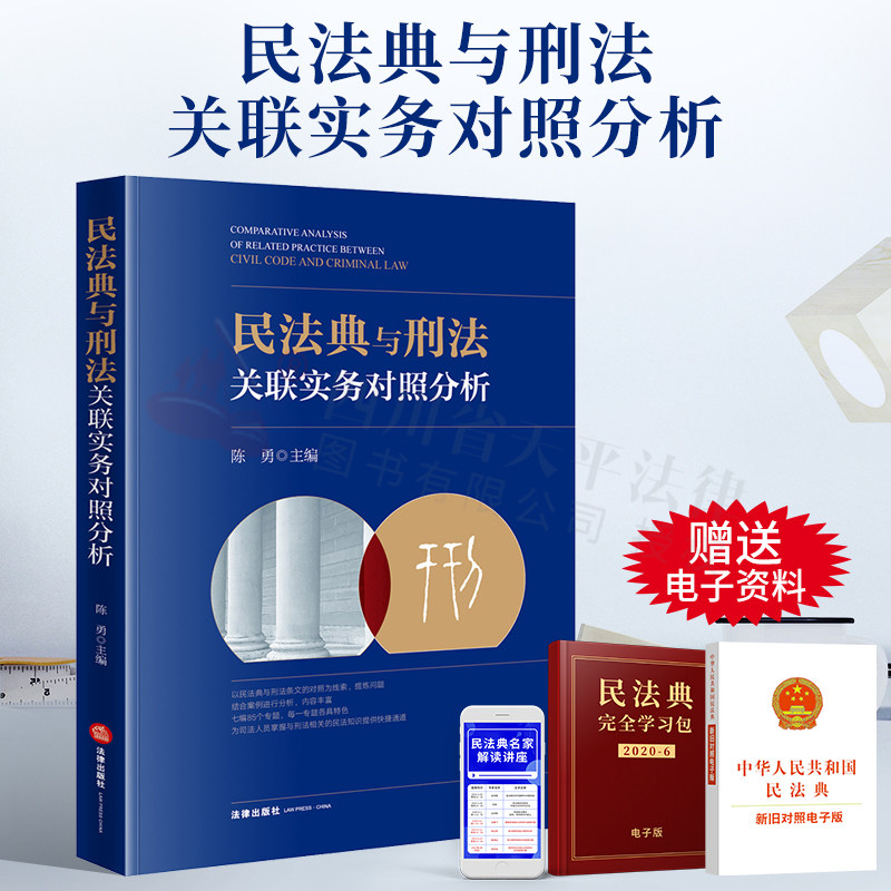 2021新书 民法典与刑法关联实务对照分析 陈勇 刑民交叉要点解析 典型案例解读 刑事审判 刑事辩护业务 法律出版社 9787519761066