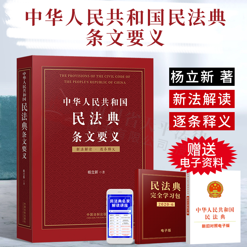 正版2021年实施民法典2020年版中华人民共和国民法典条文要义 杨立新 2020年版民法典条文解读逐条释义立法原意立法背景民法典解读
