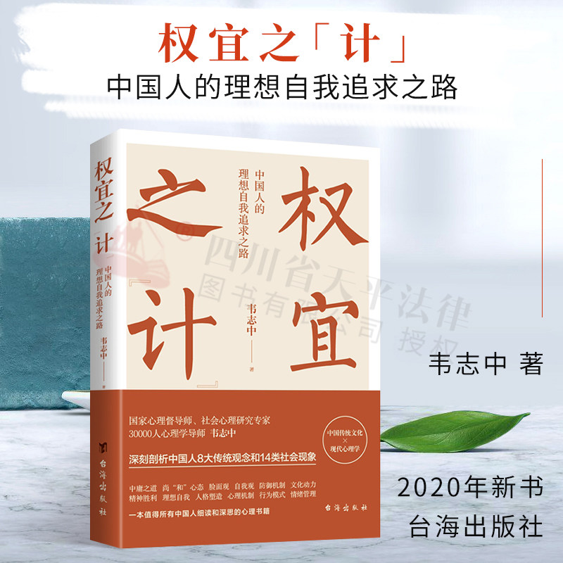 现货正版 权宜之计 中国人的理想自我追求之路 韦志中著 深刻剖析中国