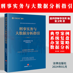 正版2024新书 刑事实务与大数据分析指引 盈科律师事务所 张文明 刑事控告 刑事辩护及刑民交叉案件 裁判大数据分析 实务操作技巧