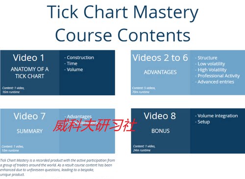 FEIBEL Wyckoff--Tick Chart Mastery 中英字幕