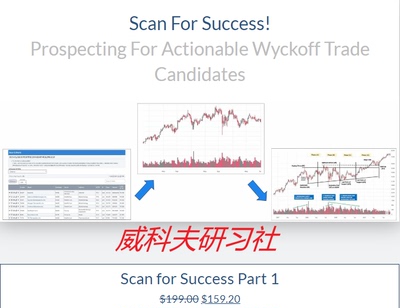 Wyckoff analytics-Scan For Success Part 1 （选股课中英字幕）