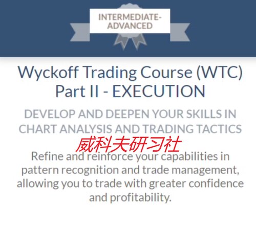 wyckoff--Wyckoff Trading Practicum Course 2021 中英实践课