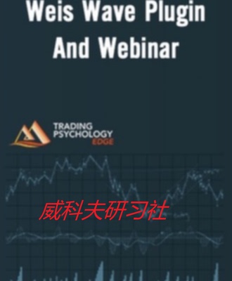 Wyckoff-- David Weis : Weis Wave Webinar 中英字幕