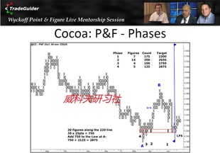 wyckoff-VSA (trade guider) Point&Figure Mentorship Course