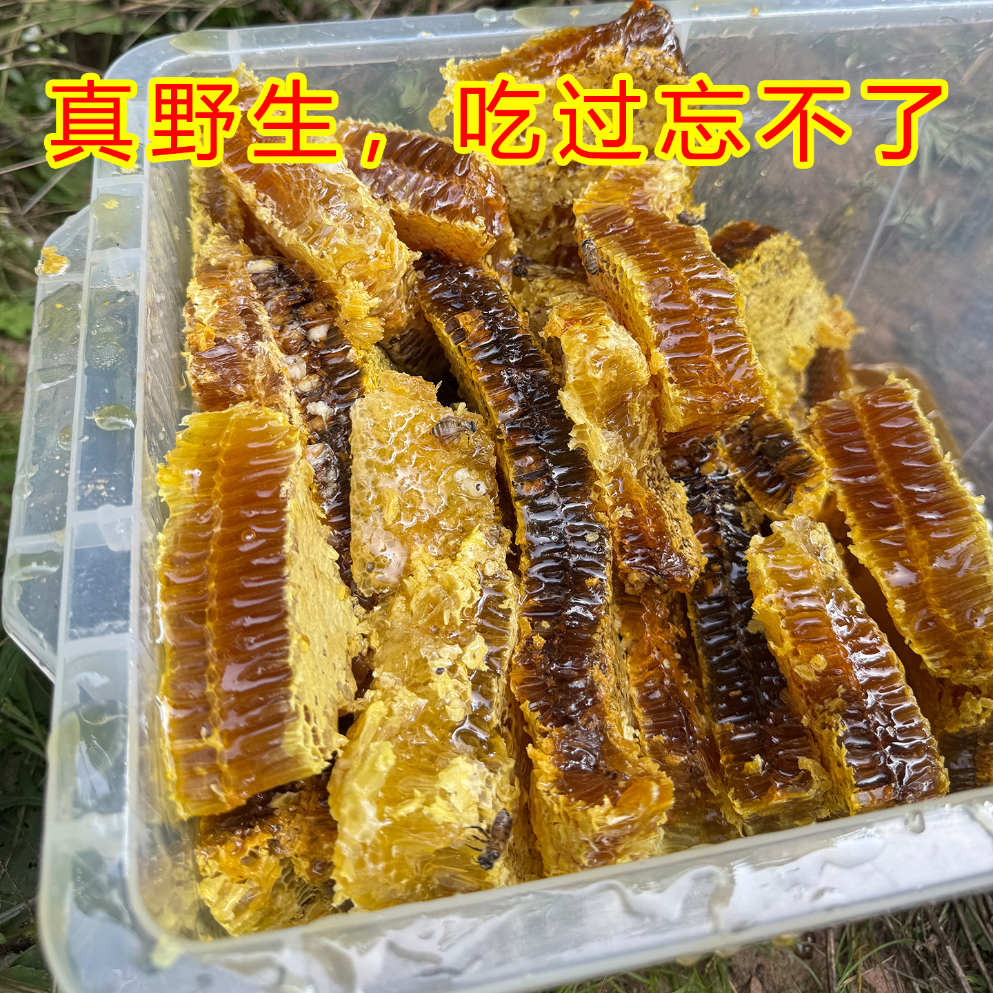 天然野生蜂巢蜜蜂蜜无添加秦岭深山农家自产土蜂蜜原蜜老巢蜜