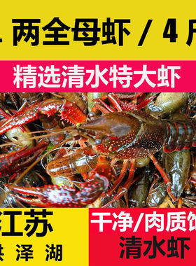 愫水洪泽湖小龙虾全母虾两虾4斤