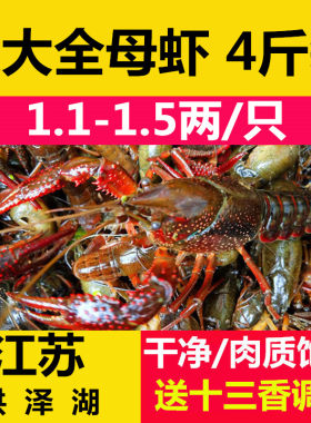江苏盱眙小龙虾鲜活特大