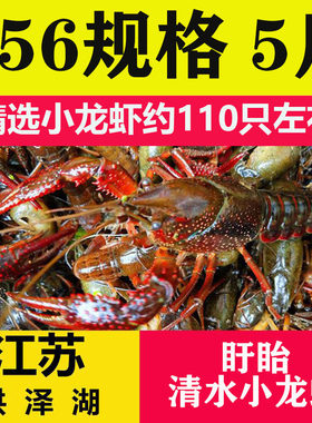 江苏盱眙清水小龙虾456钱5斤