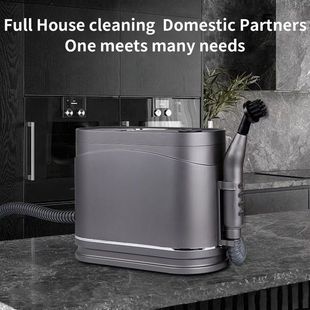 steam cleaner高温蒸汽清洁油烟机去油衣服熨烫挂烫机沙发清洗机