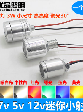 LED迷你高亮充电宝照明小射灯
