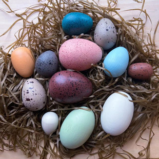 仿真玩具鸡蛋鸭蛋组6只盒装 儿童过家家木制玩具egg