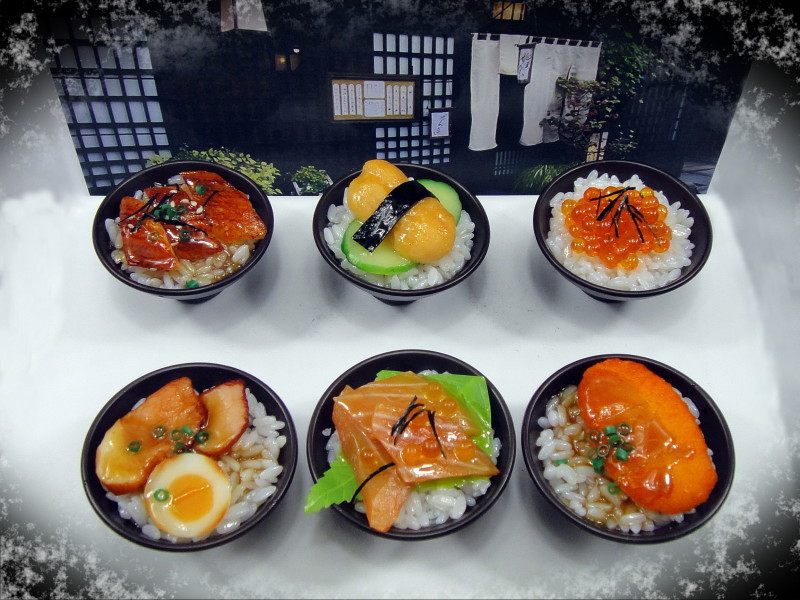 幼儿仿真食物食品模型树脂工艺品礼品仿真日本料理模型碗装米饭面,玩具/童车/益智/积木/模型,过家家玩具,淘宝优惠券,粉丝福利购,淘宝优惠卷