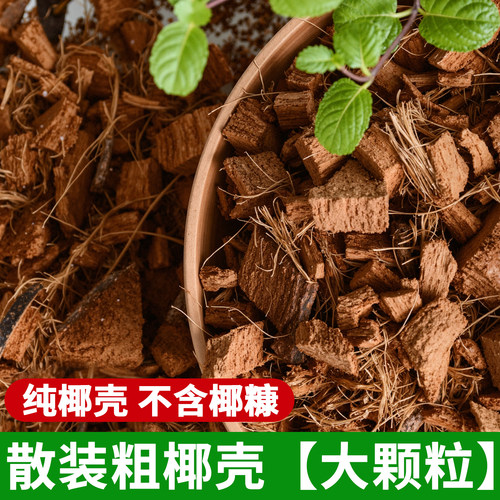 散装椰壳免泡发大颗粒兰花专用土