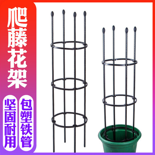 阳台花架爬藤架铁线莲攀爬植物