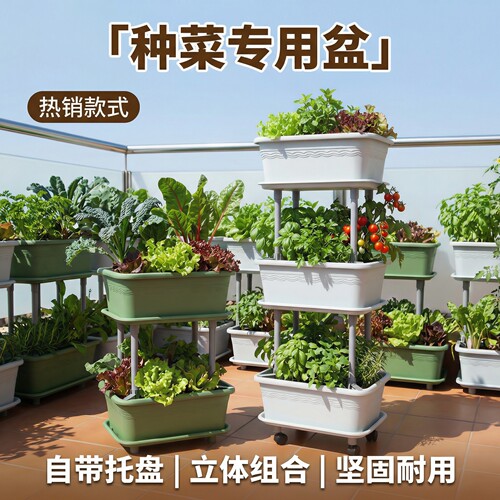 立体阳台种菜箱懒人自吸水种菜盆