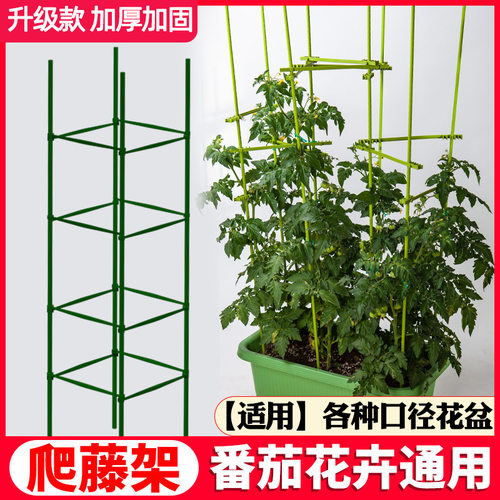 花架爬藤架网庭院黄瓜月季种植