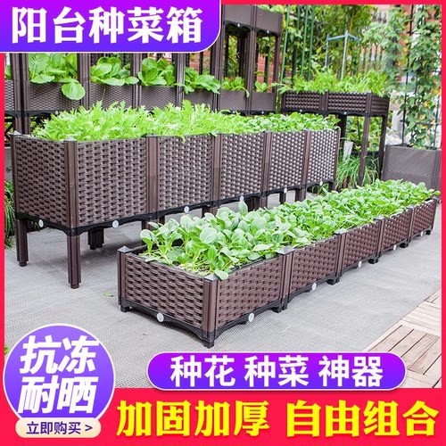 种植箱家庭阳台种菜专用箱特大