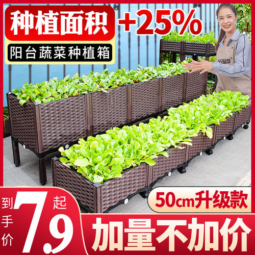 特大清仓楼顶家用菜园种菜神器