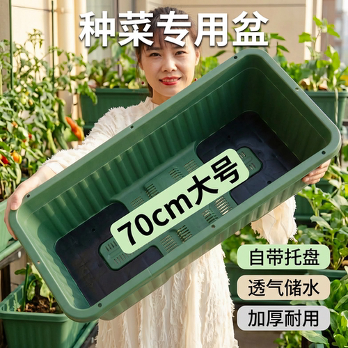 阳台种菜盆室内外长方形懒人自吸水种菜箱特大塑料70cm种菜专用盆